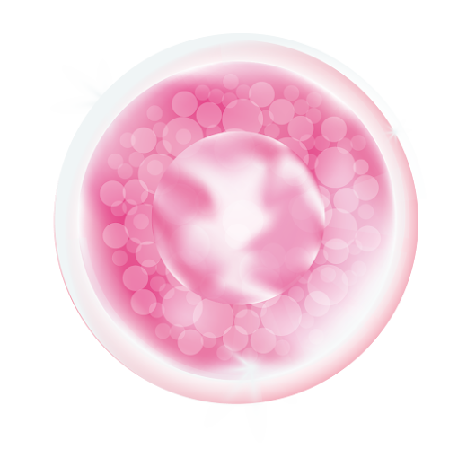 Collagen Tripeptide