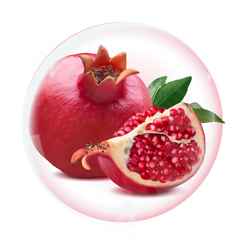 Pomegranate Extract
