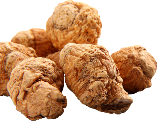 Maca
