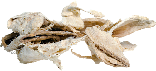 Pueraria